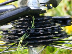 Bicycle Gears And Chain