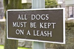 Dog Animal Bites Leash Laws