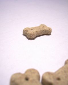 Dog Bone