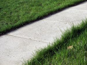 Pedestrians Sidewalk Safety Personal Injury Death